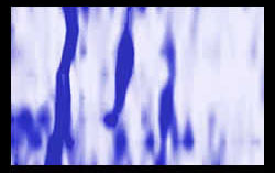 Georadar - przykład obrazowania rur